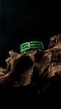 Natural A-grade jade ring